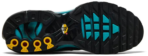 Air Max Plus 'Black Dusty Cactus'