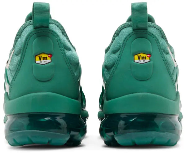 Wmns Air Vapormax Plus 'Bicoastal'
