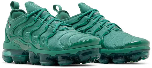 Wmns Air Vapormax Plus 'Bicoastal'