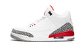Air Jordan 3 Retro "Katrina/Hall Of Fame"
